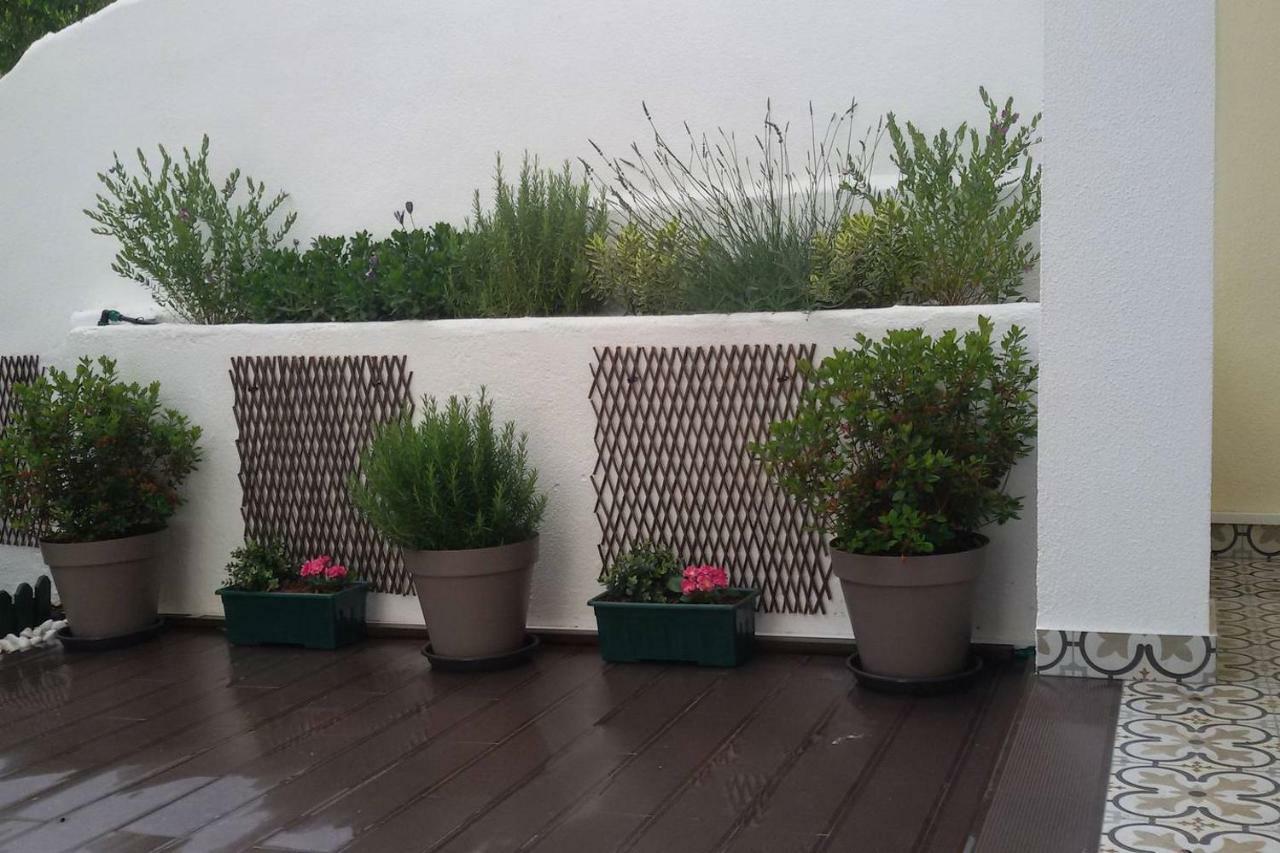 Sunny Orange Garden Apartment In Central Lisboa Exterior foto
