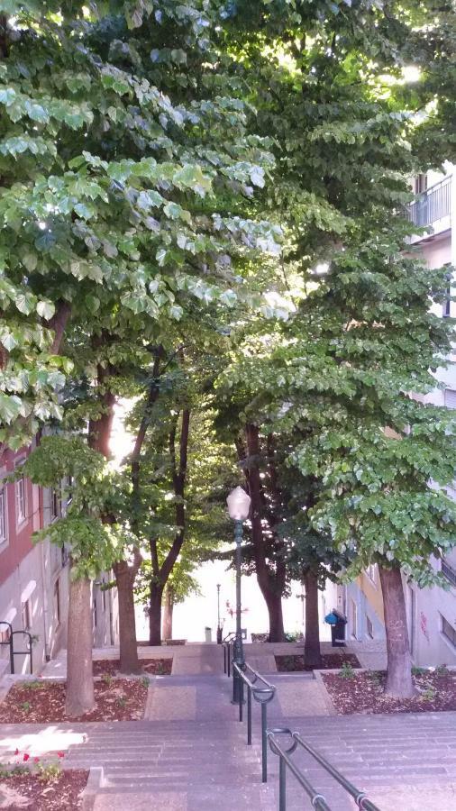 Sunny Orange Garden Apartment In Central Lisboa Exterior foto