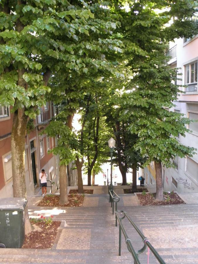 Sunny Orange Garden Apartment In Central Lisboa Exterior foto